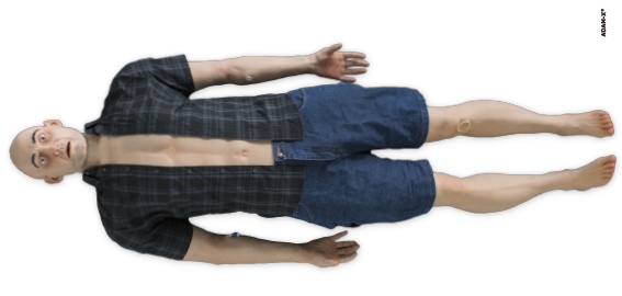 超級智能綜合模擬人東慧成,型號DHG-SM101 超級智能綜合模擬人東慧成,型號DHG-SM101